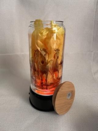 Glass Tumbler Clear 16 oz.